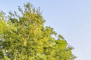 Rent Cheap Apartments In Indiana From 347 Rentcaf 233